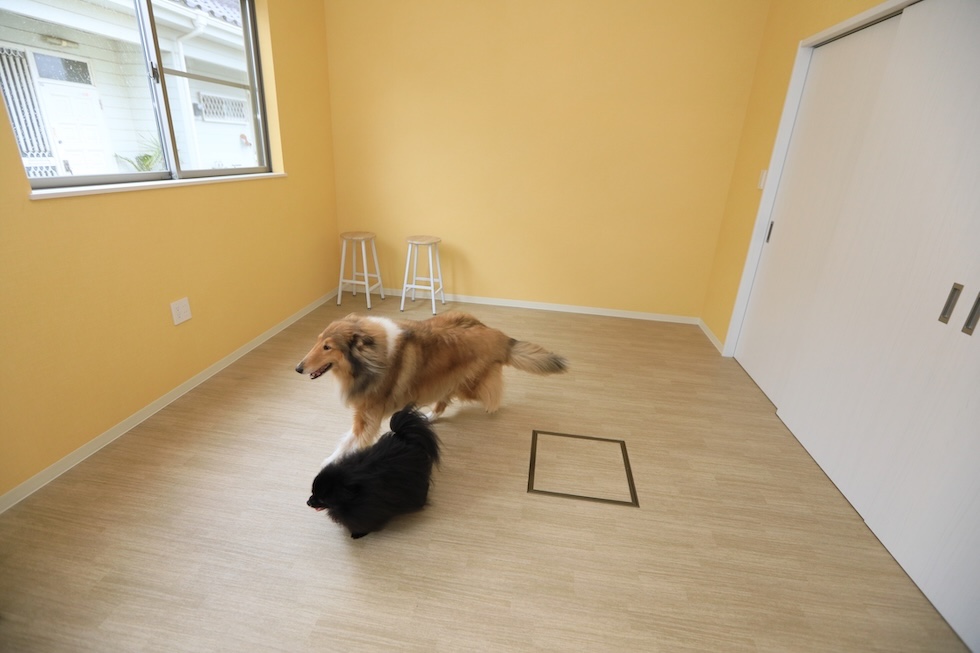 オフ会・愛犬家の交流会
