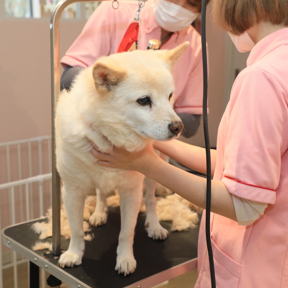 負担を最小限にするケア