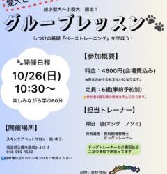グループレッスン